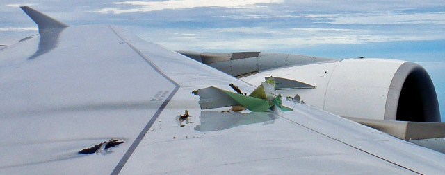 At least five holes in the top of the wing.  Fuel escapes from at least one of the five holes in the top of the wing.  (Photo: Ulf Waschbusch)