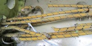 300 KVA in 6 phases of 115Volt AC power cables cut and shorted. AC (Photo: ATSB QF32 Report)